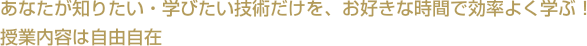 あなたが知りたい・学びたい技術だけを、お好きな時間で効率よく学ぶ！授業内容は自由自在