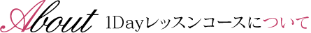 1Dayレッスンコースについて