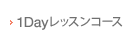 1Dayレッスンコース